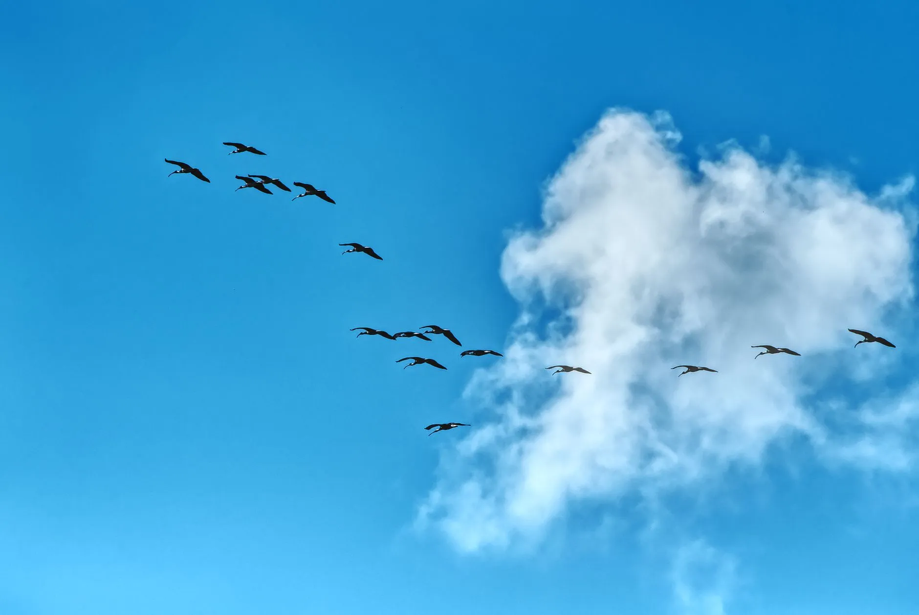 海口广告传媒行业2024年新媒体运营趋势与策略分析